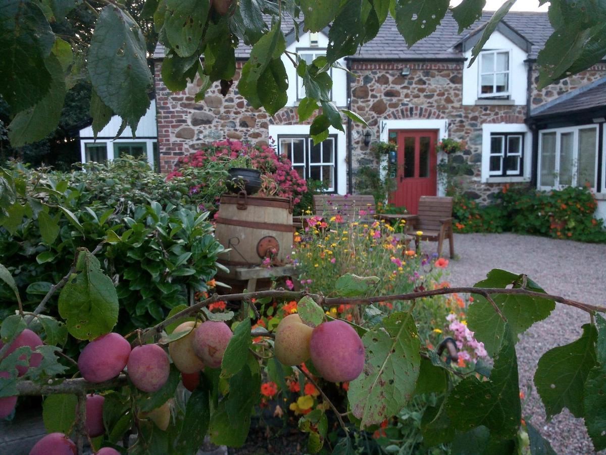 Berwick Hall Cottage Moira  Exteriör bild