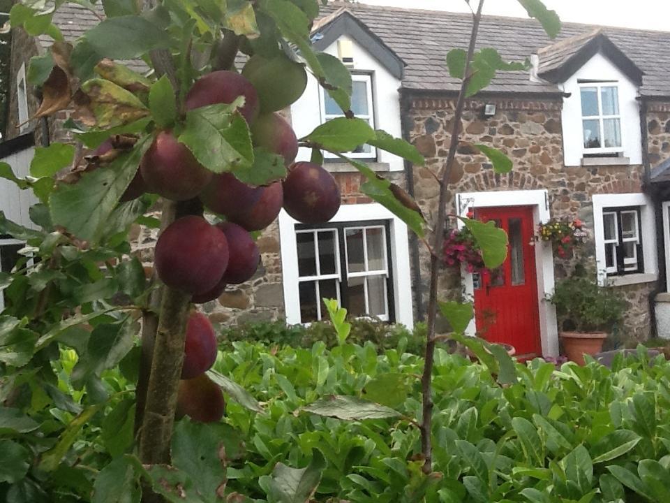 Berwick Hall Cottage Moira  Rum bild